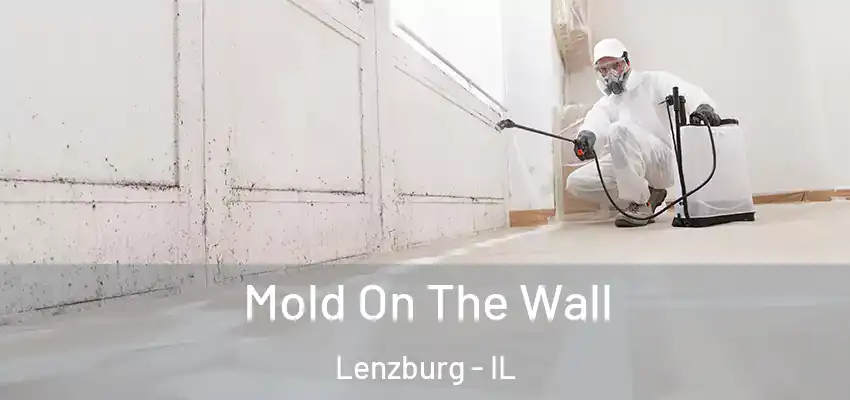  Mold On The Wall Lenzburg - IL