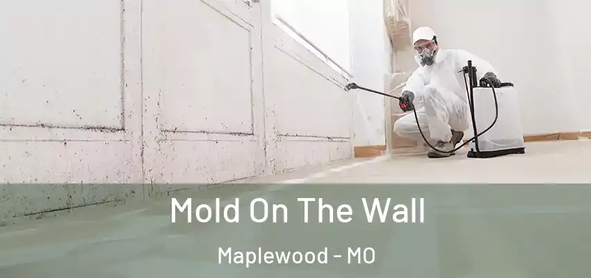  Mold On The Wall Maplewood - MO