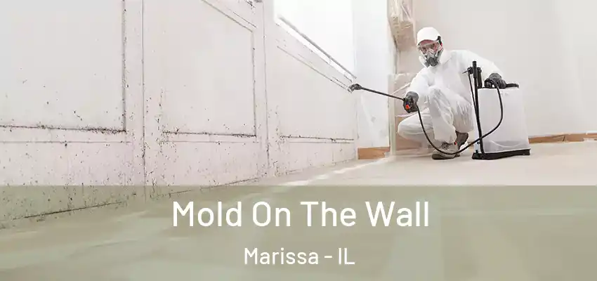  Mold On The Wall Marissa - IL