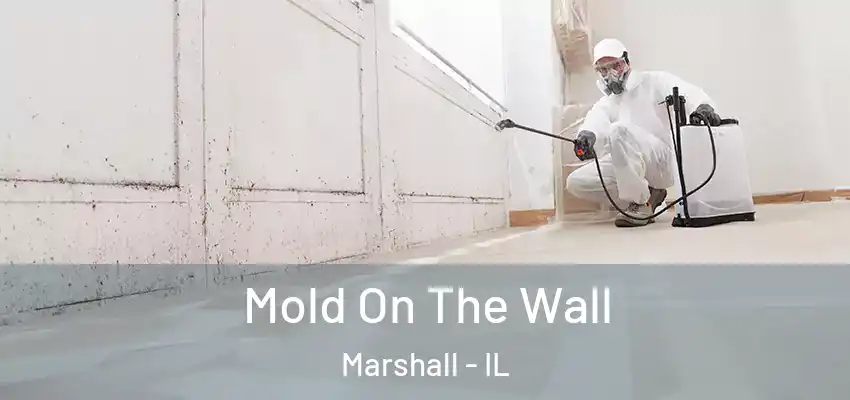  Mold On The Wall Marshall - IL