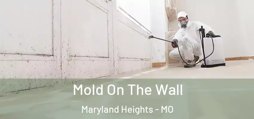  Mold On The Wall Maryland Heights - MO