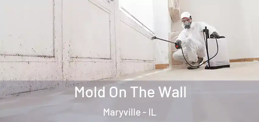  Mold On The Wall Maryville - IL