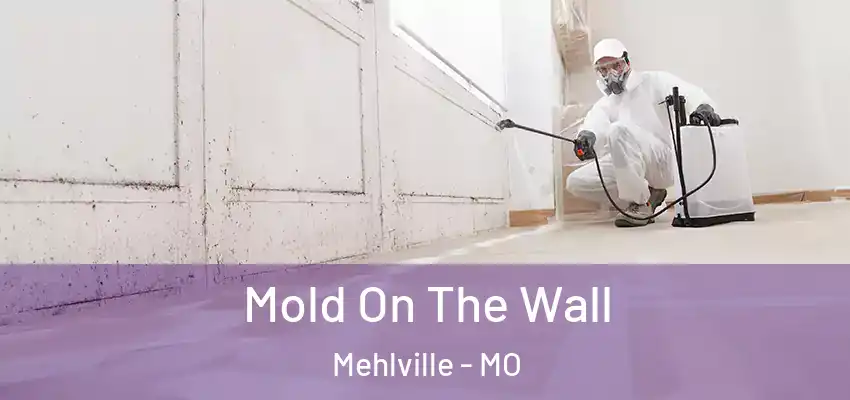  Mold On The Wall Mehlville - MO