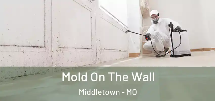  Mold On The Wall Middletown - MO