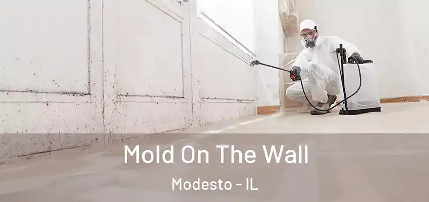  Mold On The Wall Modesto - IL