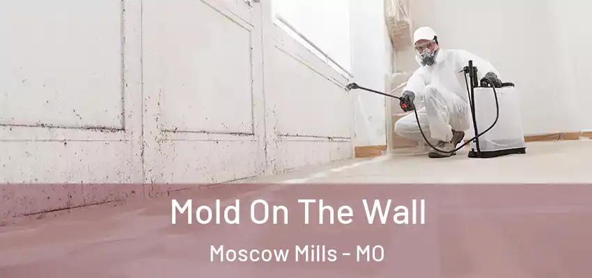  Mold On The Wall Moscow Mills - MO