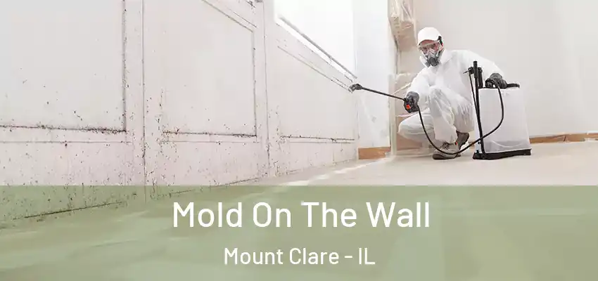  Mold On The Wall Mount Clare - IL