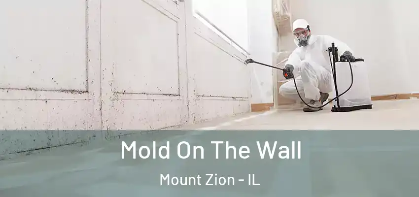  Mold On The Wall Mount Zion - IL