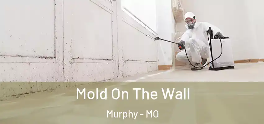  Mold On The Wall Murphy - MO