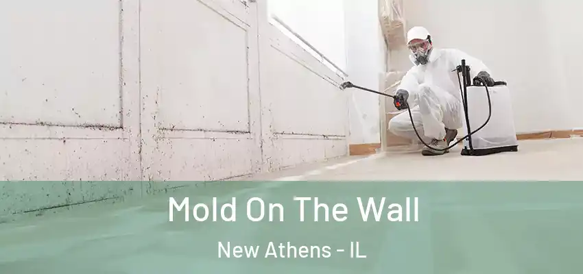  Mold On The Wall New Athens - IL