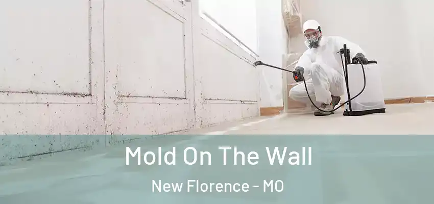  Mold On The Wall New Florence - MO