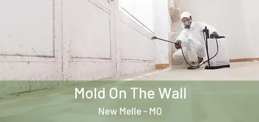  Mold On The Wall New Melle - MO