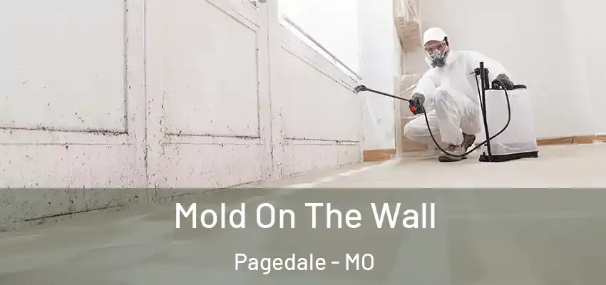 Mold On The Wall Pagedale - MO