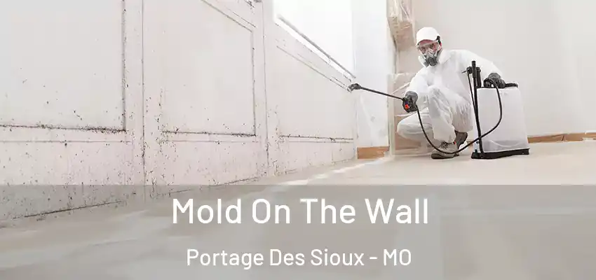  Mold On The Wall Portage Des Sioux - MO