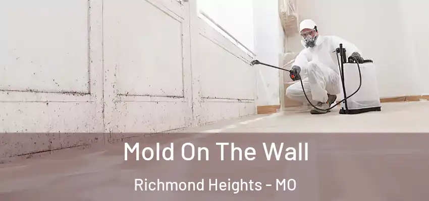  Mold On The Wall Richmond Heights - MO