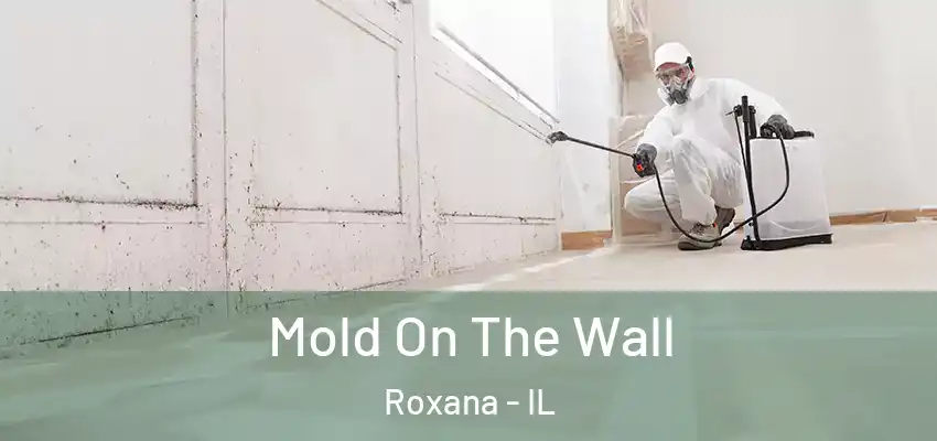  Mold On The Wall Roxana - IL