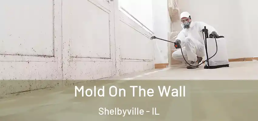Mold On The Wall Shelbyville - IL