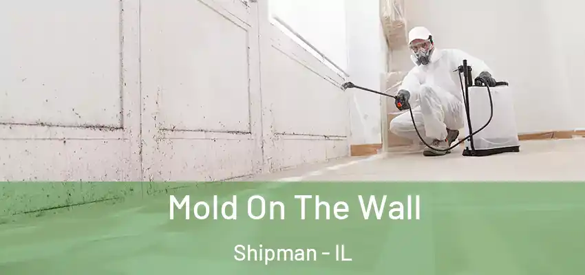  Mold On The Wall Shipman - IL