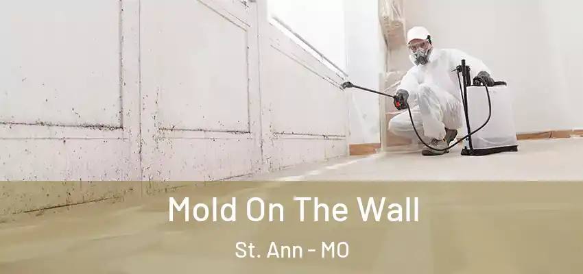  Mold On The Wall St. Ann - MO