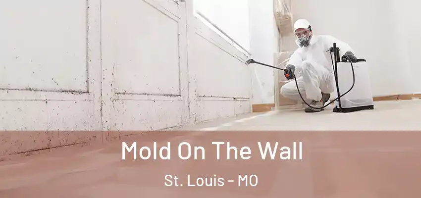  Mold On The Wall St. Louis - MO
