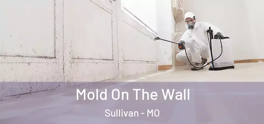 Mold On The Wall Sullivan - MO
