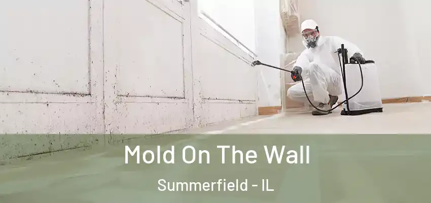  Mold On The Wall Summerfield - IL
