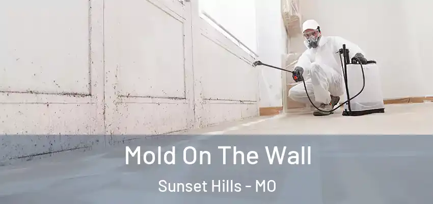  Mold On The Wall Sunset Hills - MO
