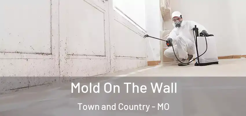 Mold On The Wall Town and Country - MO