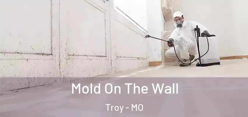 Mold On The Wall Troy - MO