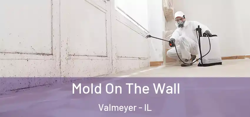 Mold On The Wall Valmeyer - IL
