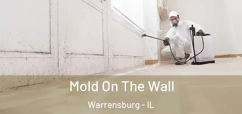  Mold On The Wall Warrensburg - IL