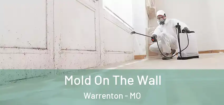  Mold On The Wall Warrenton - MO