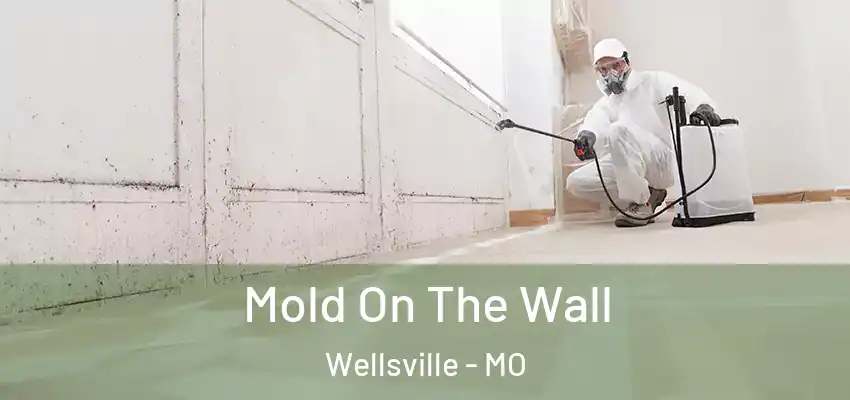  Mold On The Wall Wellsville - MO