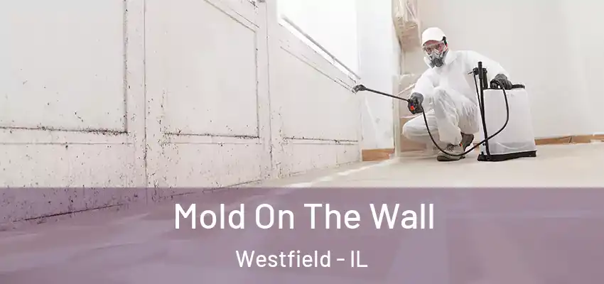  Mold On The Wall Westfield - IL
