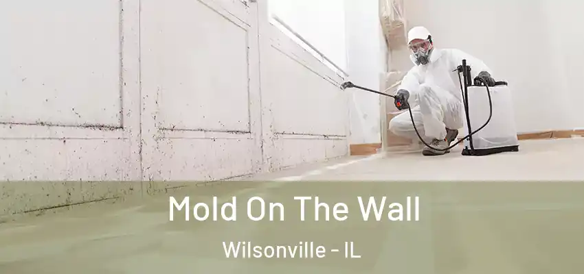  Mold On The Wall Wilsonville - IL