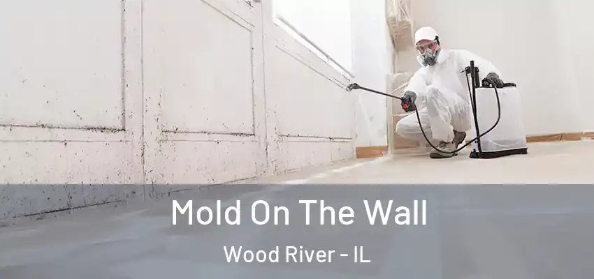  Mold On The Wall Wood River - IL