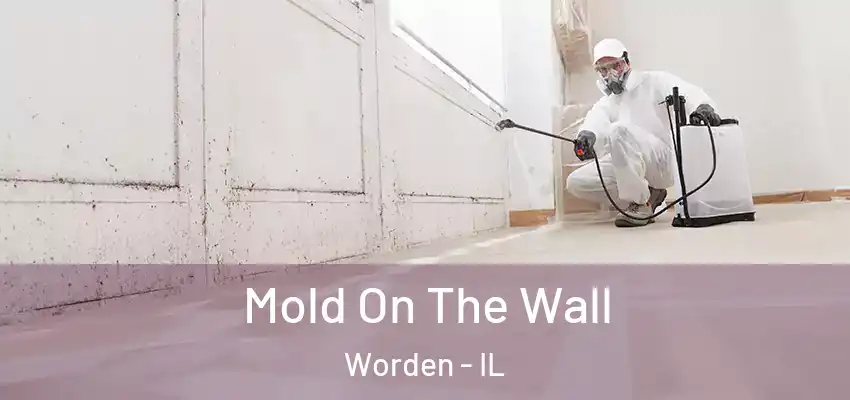  Mold On The Wall Worden - IL