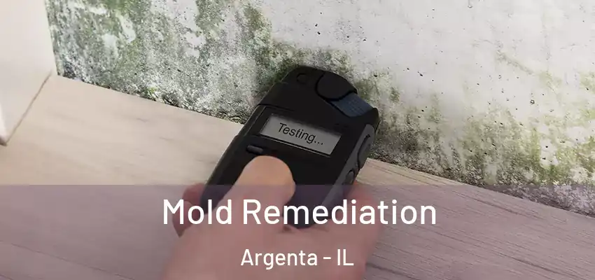  Mold Remediation Argenta - IL