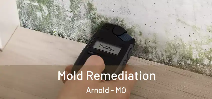  Mold Remediation Arnold - MO