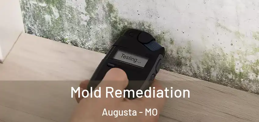  Mold Remediation Augusta - MO
