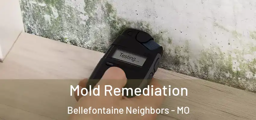  Mold Remediation Bellefontaine Neighbors - MO