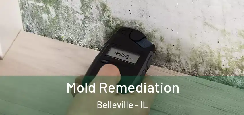  Mold Remediation Belleville - IL