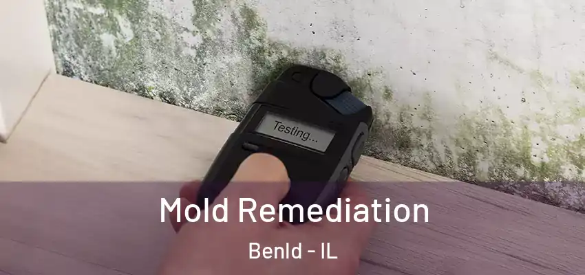  Mold Remediation Benld - IL