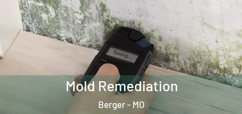  Mold Remediation Berger - MO
