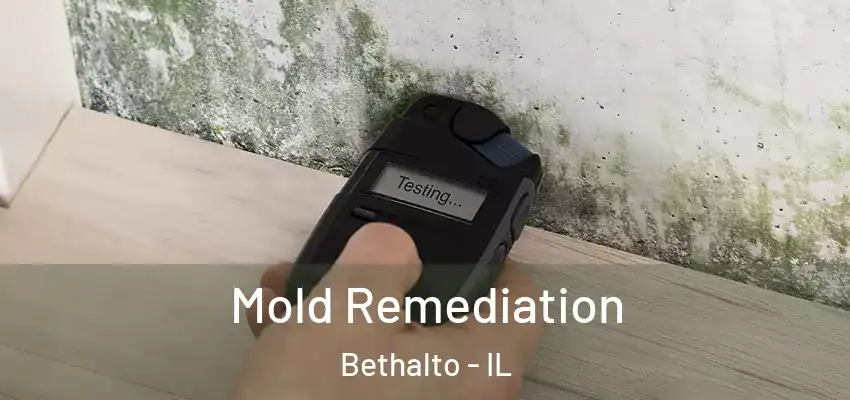  Mold Remediation Bethalto - IL