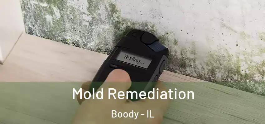  Mold Remediation Boody - IL