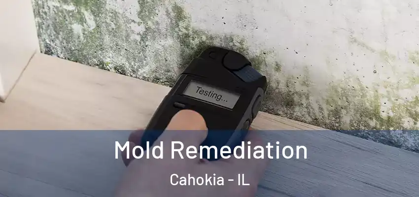  Mold Remediation Cahokia - IL