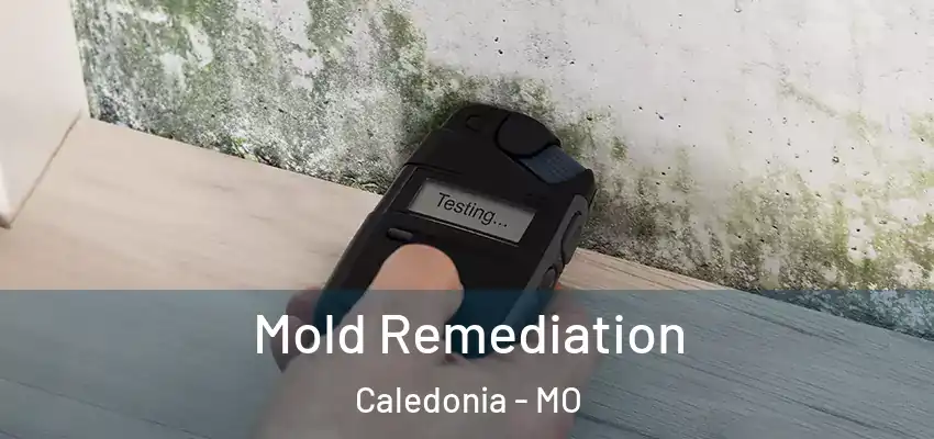  Mold Remediation Caledonia - MO