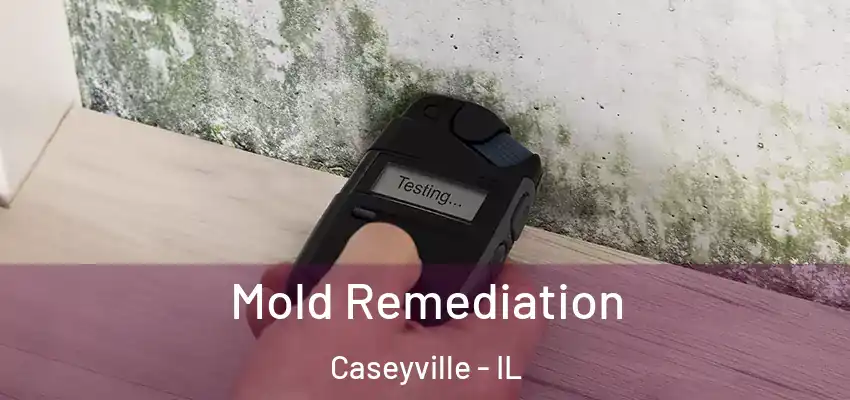  Mold Remediation Caseyville - IL