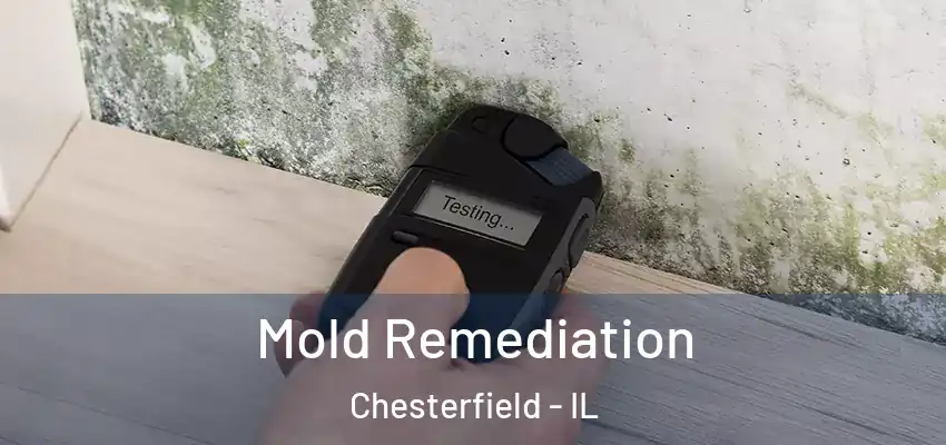  Mold Remediation Chesterfield - IL